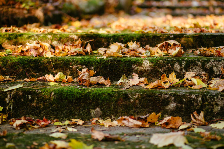 park_stairs_in_autumn