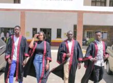 The Top KMTC Courses to Think About for a Fulfilling Career in Healthcare