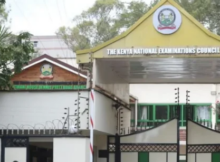 Knec offices