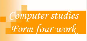 Computer studies form 4 work