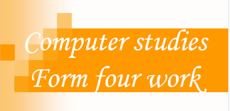 Computer studies form 4 work