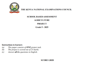 Knec 2025 Grade 4 and 5 CBC projects and practicals (pdf downloads)