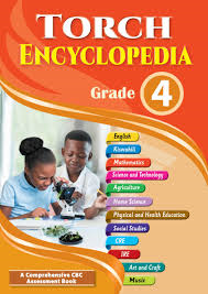 Get free Grade Four (Grade 4) Schemes of Work, Notes, Revision Materials, Exams, Past Papers , Lesson Plans and Lesson Notes