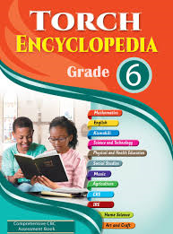 Get free Grade Six (Grade 6) Schemes of Work, Notes, Revision Materials, Exams, Past Papers , Lesson Plans and Lesson Notes