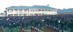 10 Best-performing Schools in Bungoma County