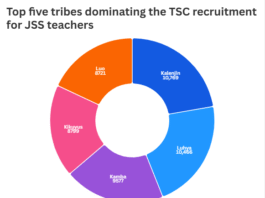 Kalenjins, Luhyas, Kikuyus, Kambas dominate latest TSC teacher recruitment