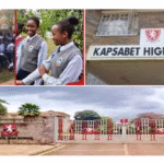 Senior, Secondary, Schools' CBE Subjects, Pathways, Contacts, Location, Fees, Admission {Full Details}